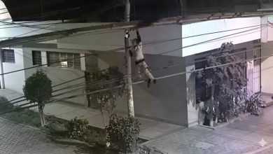 ‘Hombre Araña’ del crimen roba cámaras