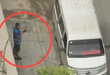 𝐂𝐚𝐞 𝐛𝐚𝐧𝐝𝐚 𝐞𝐱𝐭𝐨𝐫𝐬𝐢𝐯𝐚