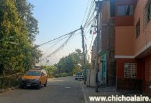 Árbol a punto de caer amenaza cableado en Quirio