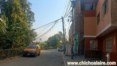 Árbol a punto de caer amenaza cableado en Quirio