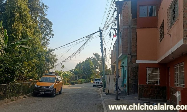 Árbol a punto de caer amenaza cableado en Quirio