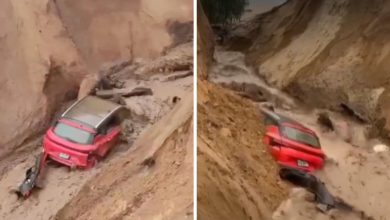 Auto cae en forado por huaicos en carretera Costanera: chofer se salva de milagro
