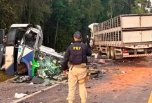 Choque de bus y camión en Brasil deja 23 muertos