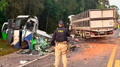 Choque de bus y camión en Brasil deja 23 muertos