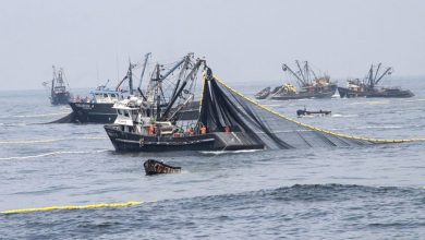 Produce declara en emergencia pesca y acuicultura por El Niño