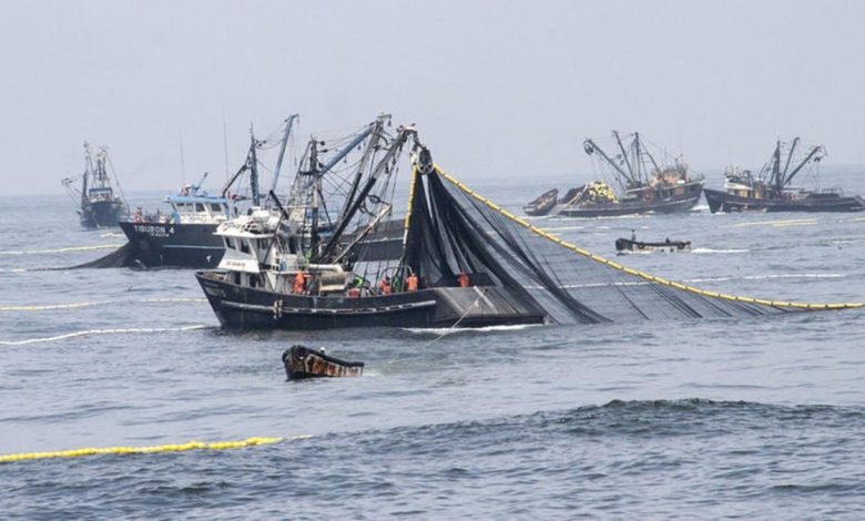 Produce declara en emergencia pesca y acuicultura por El Niño