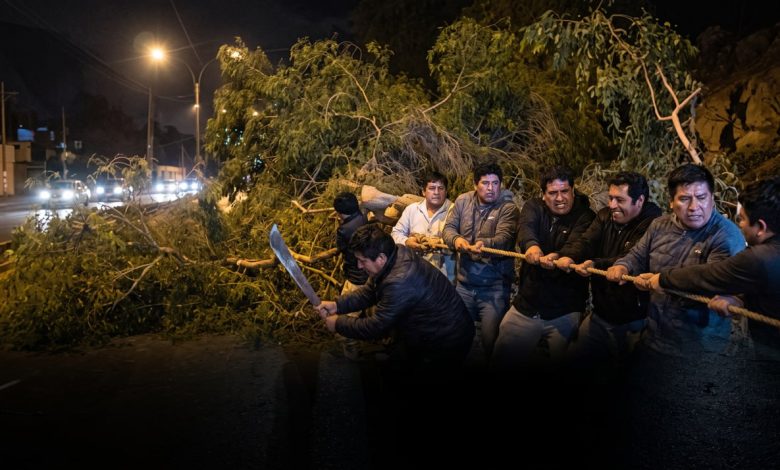 Vecinos retiran árbol caído en la Carretera Central
