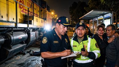 Tren atropella a peatón en paradero Los Girasoles