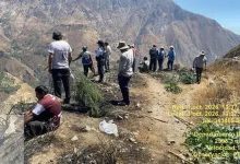 Incendio forestal en Huarochirí: pobladores luchan contra el fuego con ramas y arena