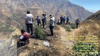 Incendio forestal en Huarochirí: pobladores luchan contra el fuego con ramas y arena